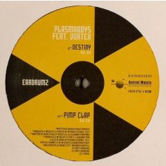 Plasmaboys Feat. Vortex - Plasmaboys Feat. Vortex - Destiny - Eardrumz