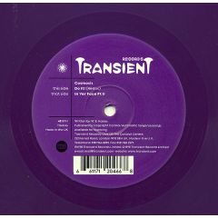 Cosmosis - Cosmosis - Do It! (Remix) / In Yer Face Pt. II - Transient Records