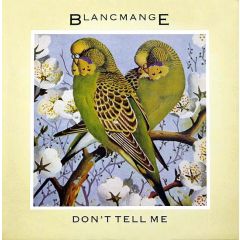 Blancmange - Blancmange - Don't Tell Me - London