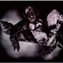 Of Cabbages And Kings - Of Cabbages And Kings - Face - Purge/Sound League