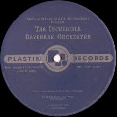 Markus Schulz And Cl Mcspadden Present The Incredi - Markus Schulz And Cl Mcspadden Present The Incredi - People In The Window - Plastik Records
