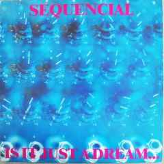 Sequencial - Sequencial - Is It Just A Dream Or Is It Real - Who's That Beat