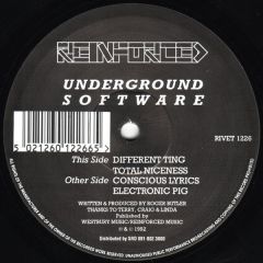 Underground Software - Underground Software - Different Ting - Reinforced Records
