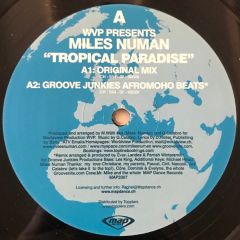 Wvp Presents Miles Numan - Wvp Presents Miles Numan - Tropical Paradise - Map Dance