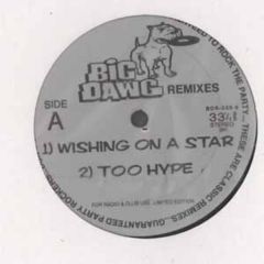 Unknown Artist - Unknown Artist - Big Dawg Remixes - Big Dawg