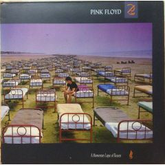 Pink Floyd - Pink Floyd - A Momentary Lapse Of Reason - EMI