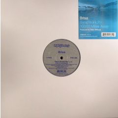 Brisa - Brisa - Synchronicity - Nite Grooves