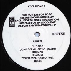 Various - Various - Rhythm Zone Sampler - Kool Kat