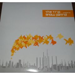 Snow Patrol - Snow Patrol - The Trip - Family Recordings