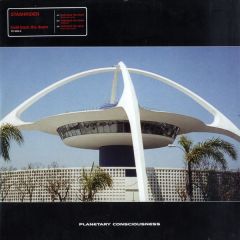 Stashrider - Stashrider - Hold Back The Dawn - Planetary Consciousness