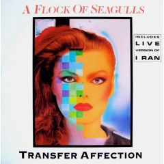 A Flock Of Seagulls - A Flock Of Seagulls - Transfer Affection - Jive