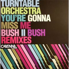 Turntable Orchestra - Turntable Orchestra - You'Re Gonna Miss Me (2007) - Cayenne