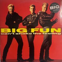 Big Fun - Big Fun - Can't Shake The Feeling - Jive