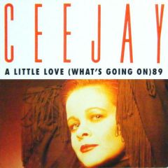 Ceejay - Ceejay - A Little Love (What's Going On) '89 - Noir Records