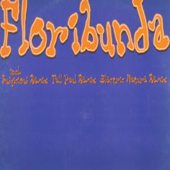 Mothers Pride - Mothers Pride - Floribunda - Dance Pool