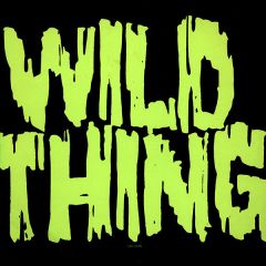 X - X - Wild Thing - Elektra