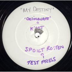 Delinquent Feat Kcat - Delinquent Feat Kcat - My Destiny - Spoilt Rotten Entertainment