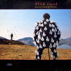 Pink Floyd - Pink Floyd - Delicate Sound Of Thunder - EMI