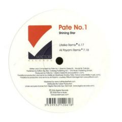 Pate No.1 Feat. Lara Zola - Pate No.1 Feat. Lara Zola - Keep Shining (Shining Star) - Vector Records