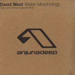 David West - David West - Welsh Morphology - Anjuna Deep