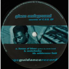 Glenn Underground - Glenn Underground - Secrets Of C.V.O. EP - Guidance Recordings