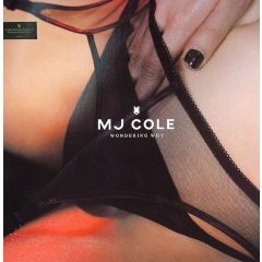 Mj Cole - Mj Cole - Wondering Why (Remix) - Talkin Loud