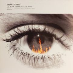 Sinead O'Connor - Sinead O'Connor - Troy (The Phoenix From The Flames) - Devolution