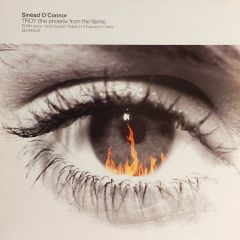 Sinead O'Connor - Troy (The Phoenix From The Flame) (Pt 2) - Devolution