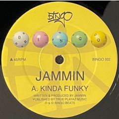 Jammin (Aka DJ Zinc) - Jammin (Aka DJ Zinc) - Kinda Funky / Drifting - Bingo 2
