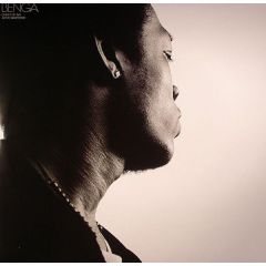 Benga - Benga - Diary Of An Afro Warrior - Tempa