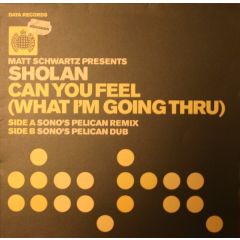 Matt Schwartz Pres. Sholan - Matt Schwartz Pres. Sholan - Can You Feel (What I'm Going Thru) (Pt 1) - Data