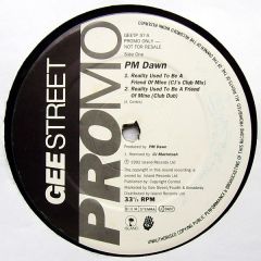 Pm Dawn - Pm Dawn - Reality Used To Be A Friend Of Mine - Gee Street