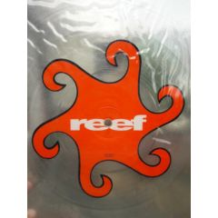 Reef - Reef - Good Feeling - Sony