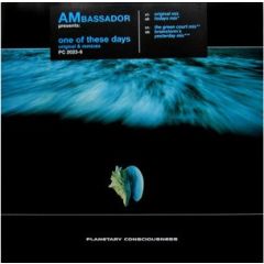 AMbassador - AMbassador - One Of These Days (Original & Remixes) - Planetary Consciousness