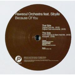 Rawsoul Orchestra Ft Sybille - Rawsoul Orchestra Ft Sybille - Because Of You - Player Records