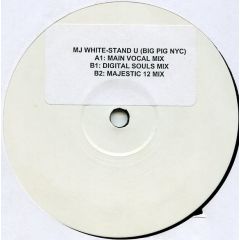 MJ White - MJ White - Stand U (Big Pig NYC) - Gecko Recordings