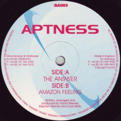 Aptness - Aptness - The Answer - Good As