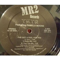 T.S.T.Q Featuring Pamela Moore - T.S.T.Q Featuring Pamela Moore - I've Got A Feel For You - MR2 Records