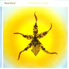 Various Artists - Various Artists - Real Ibiza 3 (Chilling You Softly) - React