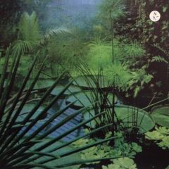 UVX - UVX - Elevator - Magick Eye Records
