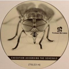 Various Artists - Various Artists - Execution According The Schedule - Tsunami