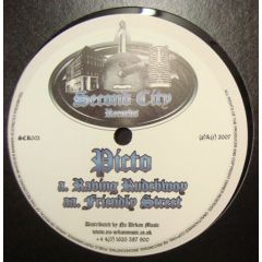 DJ Picto - DJ Picto - Raving Rudeboy - Second City Records