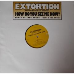 Extortion Featuring Dihan Brooks - Extortion Featuring Dihan Brooks - How Do You See Me Now? - Z Records
