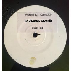 Fanatic Cracks - Fanatic Cracks - A Better World - Fire Recordings