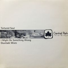 Tortured Soul Ft Christian U - Tortured Soul Ft Christian U - i Might Do Something Wrong (Osunlade Mixes) - Central Park 