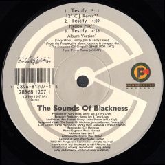 Sounds Of Blackness - Sounds Of Blackness - Testify - Perspective