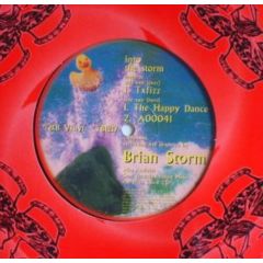 Brian Storm - Brian Storm - Into The Storm - T&B Vinyl