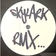 X-Press 2 - X-Press 2 - Muzik X-Press (2008) - Skint
