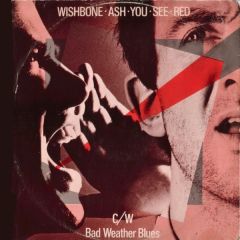 Wishbone Ash - Wishbone Ash - You See Red - MCA