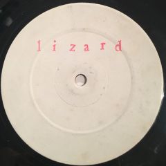 Mauro Picotto Vs Camisra - Mauro Picotto Vs Camisra - Lizard Without Scales - Not On Label